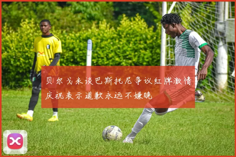 贝尔戈米谈巴斯托尼争议红牌激情庆祝表示道歉永远不嫌晚